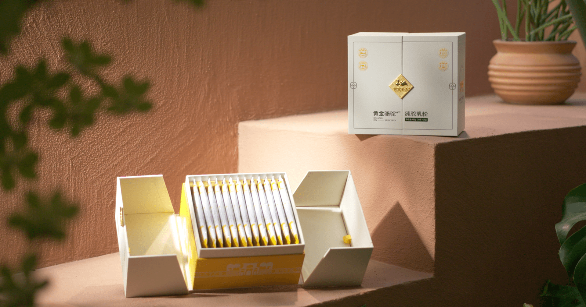 定位小众高端乳粉，AG庄闲推出驼奶品牌“黄金骆驼+”，角逐乳品新市场！